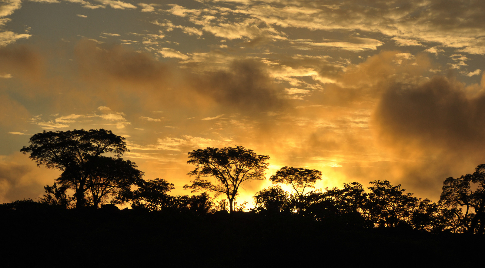 Kruger National Park [122 mm, 1/2500 sec at f / 11, ISO 1000]